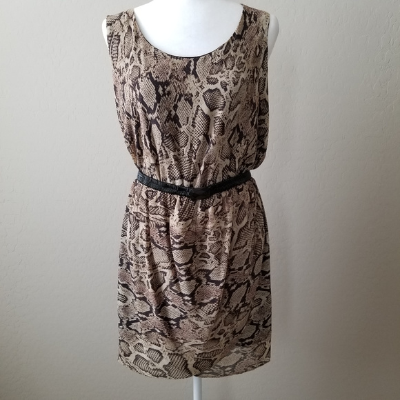 mango snake print dress